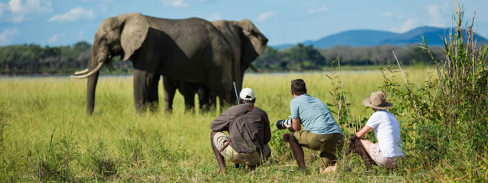 Tembo Plains Camp: Elefantenbegegnung
