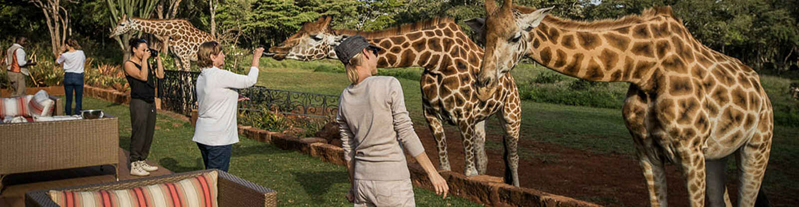 Giraffe Manor: Afternoon Tea auf Terrasse Giraffe Manor: Afternoon Tea auf Terrasse