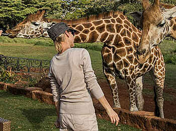 Giraffe Manor: Afternoon Tea auf Terrasse Giraffe Manor: Afternoon Tea auf Terrasse