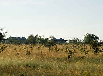 Mara Mara Tented Lodge: Gästezelt Mara Mara Tented Lodge: Gästezelt