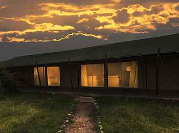 Porini Lion Camp: Morgengrauen am Familienzelt Porini Lion Camp: Morgengrauen am Familienzelt