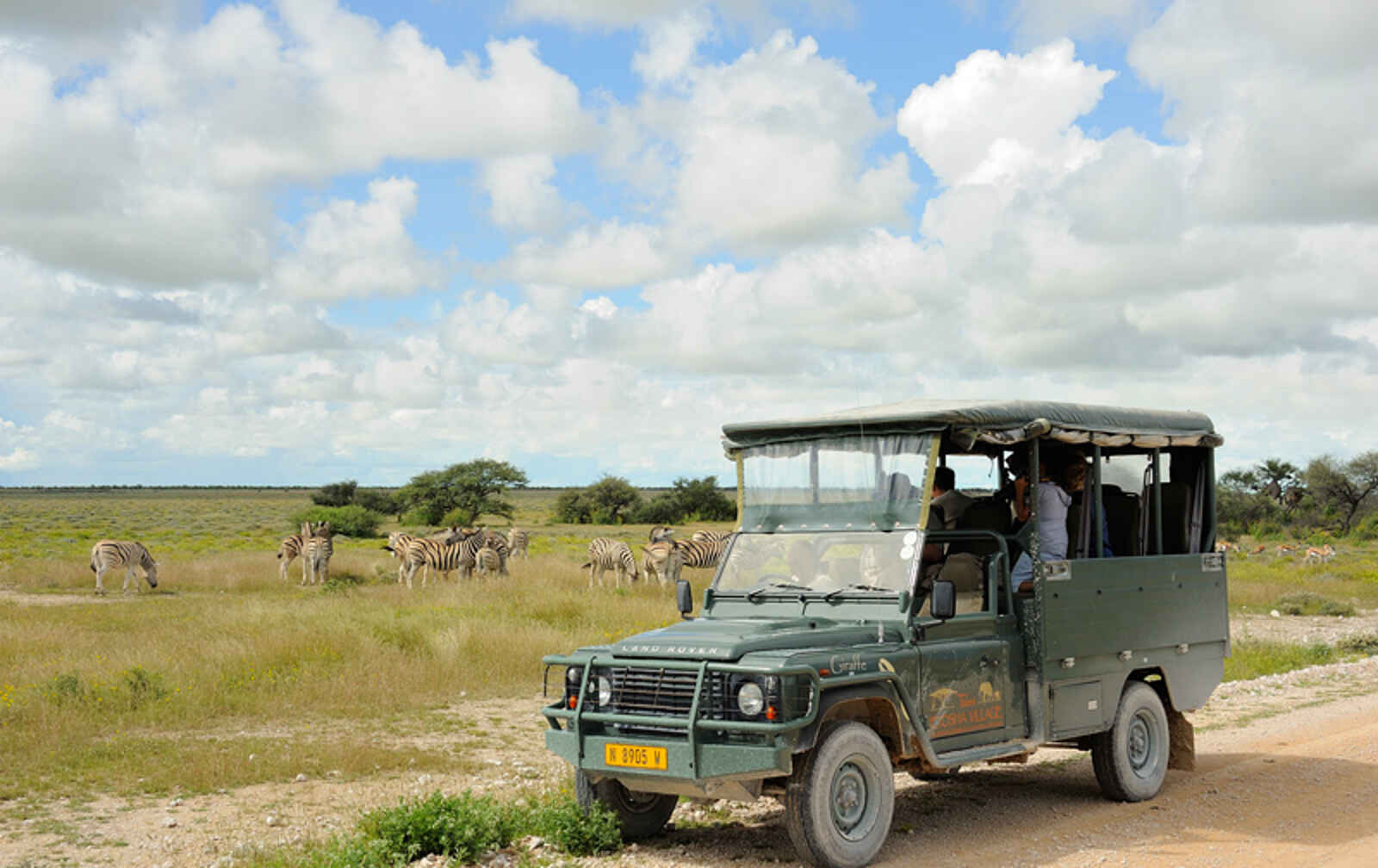 Taleni Etosha Village: Zebras aus naher Distanz Taleni Etosha Village: Zebras aus naher Distanz