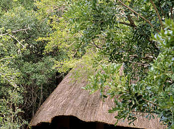 &Beyond Ngala Safari Lodge: Cottage von außen