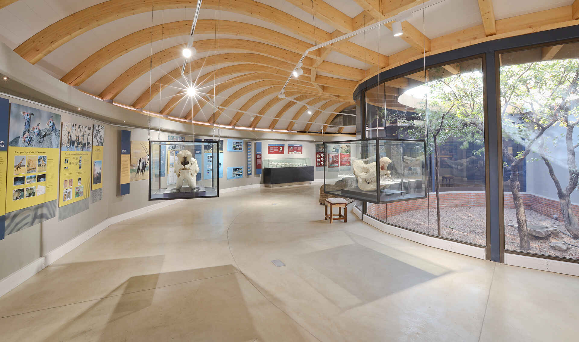 Encounter by Ongava: Discovery Center von innen Encounter by Ongava: Discovery Center von innen