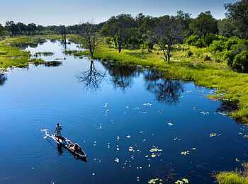 Khwai Leadwood: Mokoro