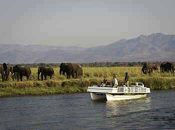 Little Ruckomechi Camp: Elefanten auf einer Flussinsel