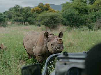 Madwaleni River Lodge: Pirschfahrt