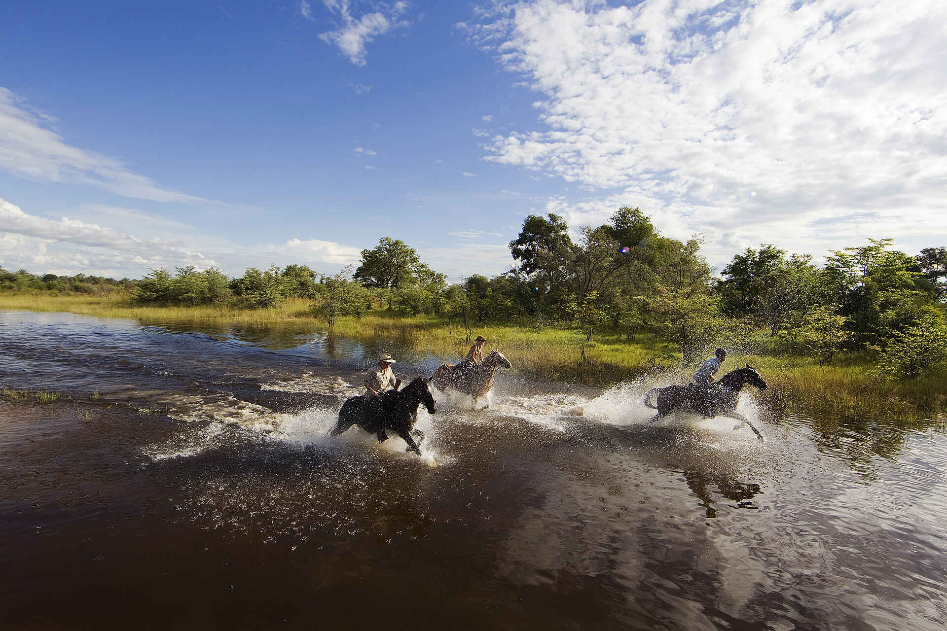 Motswiri Camp: Schneller Ritt
