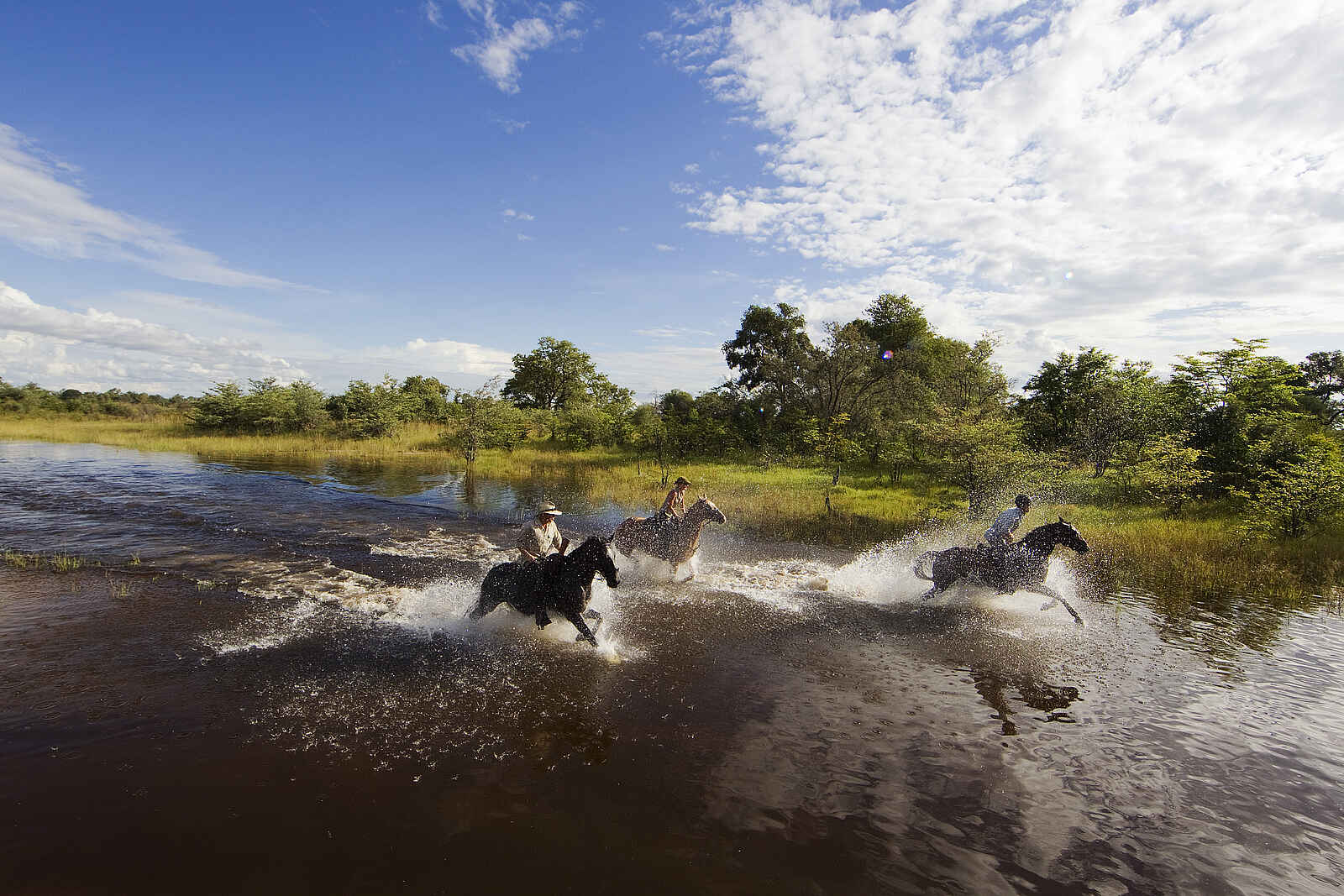 Motswiri Camp: Schneller Ritt Motswiri Camp: Schneller Ritt