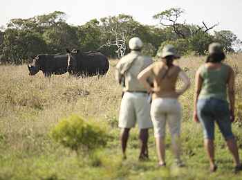 Phinda Mountain Lodge: Buschwanderung Phinda Mountain Lodge: Buschwanderung