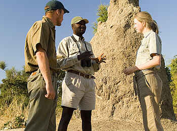 Robin Pope Safaris: Erklärungen vor einem Termitehügel