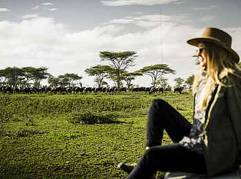 Sanctuary Kichakani Serengeti Camp: Gnus im Hintergrund Sanctuary Kichakani Serengeti Camp: Gnus im Hintergrund