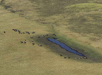 Shumba Camp: Wasserloch aus der Luft Shumba Camp: Wasserloch aus der Luft