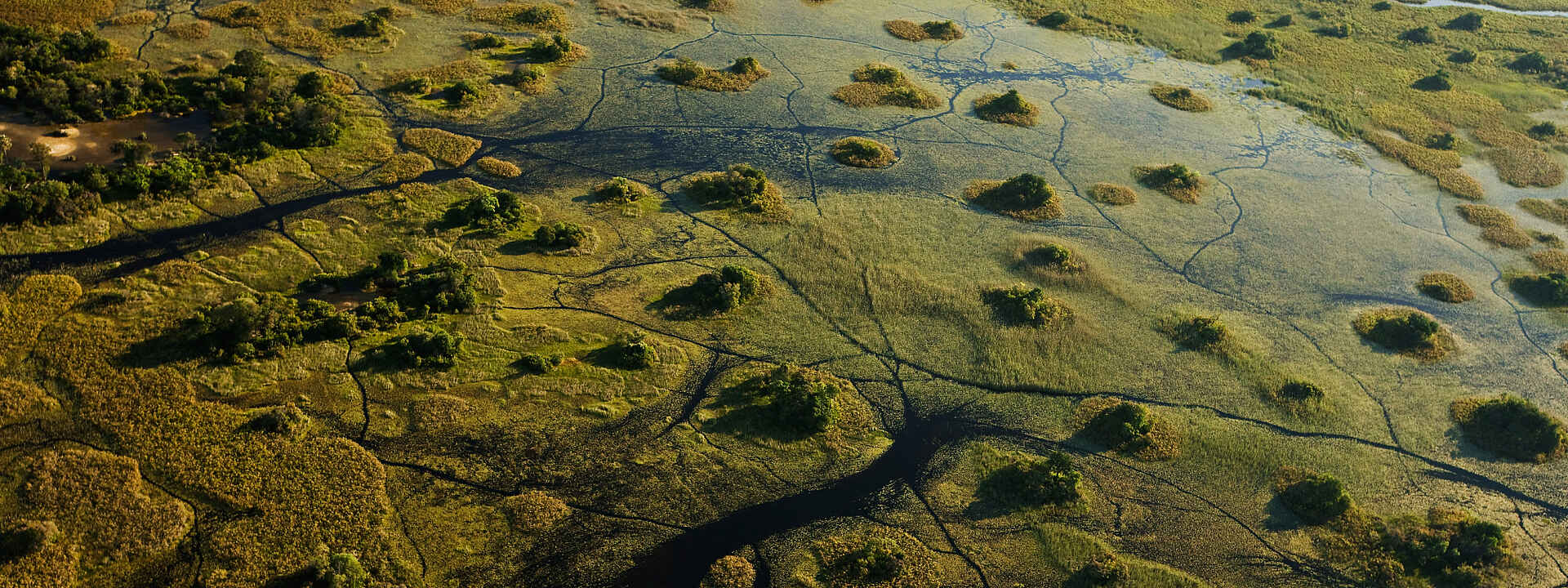 Das Okavangodelta von oben