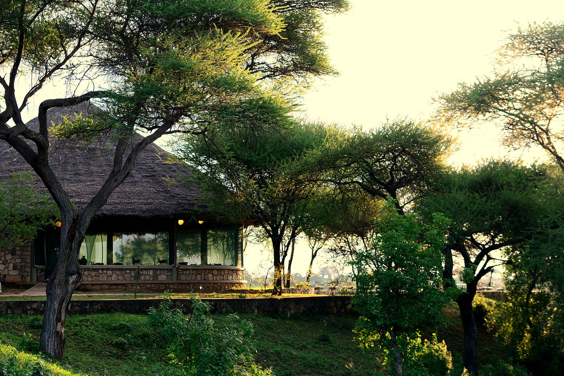 afrikarma Safaris, afrikarma Safaris - Wildnis. Hautnah., afrikarma.de, Safari, Tansania, Tanzania, Tarangire, Tarangire Nationalpark, Tarangire Safari Lodge, Speisesaal