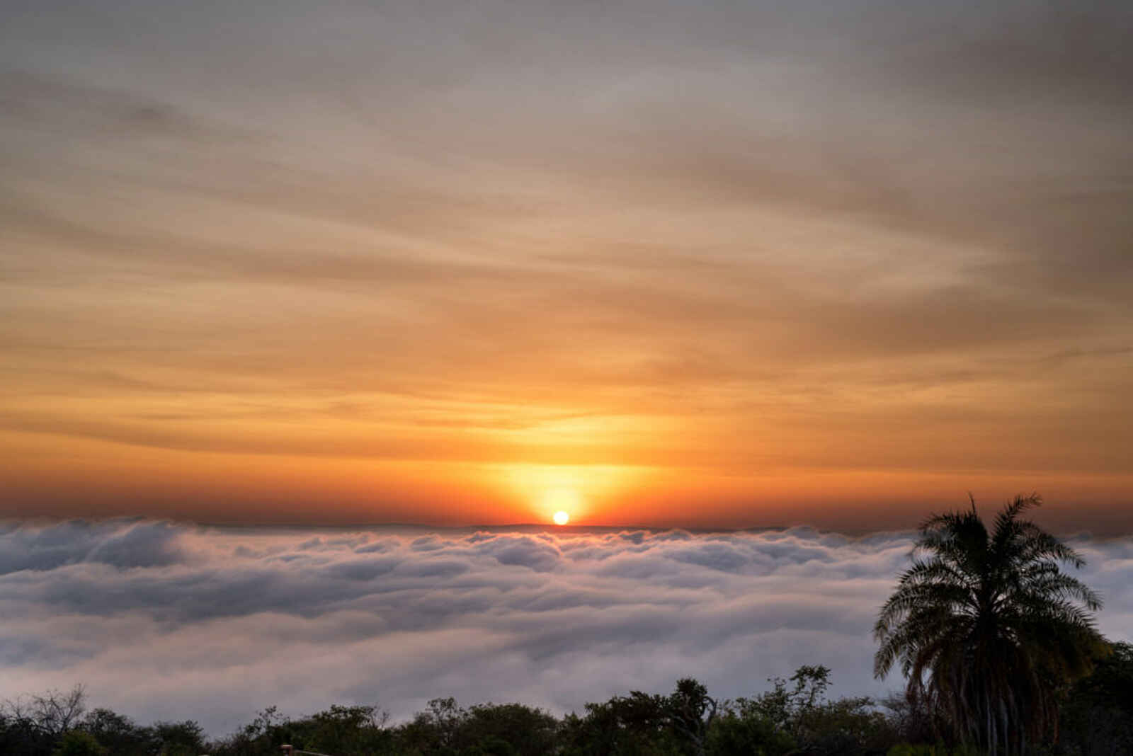 Akagera Game Lodge: Sonnenaufgang über dem Seenebel Akagera Game Lodge: Sonnenaufgang über dem Seenebel