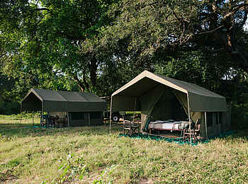 Chilo Mahove Tented Camp: Gästezelte im Schatten Chilo Mahove Tented Camp: Gästezelte im Schatten