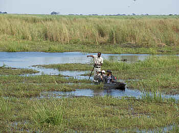 Linyanti Bush Camp: Mokoro in den Sümpfen Linyanti Bush Camp: Mokoro in den Sümpfen