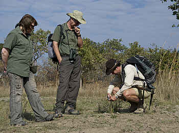 Ntemwa Busanga Bushcamp: Spurenlesen