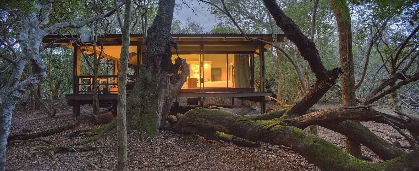 &Beyond Phinda Forest Lodge: Einladende Gästeunterkunft &Beyond Phinda Forest Lodge: Einladende Gästeunterkunft