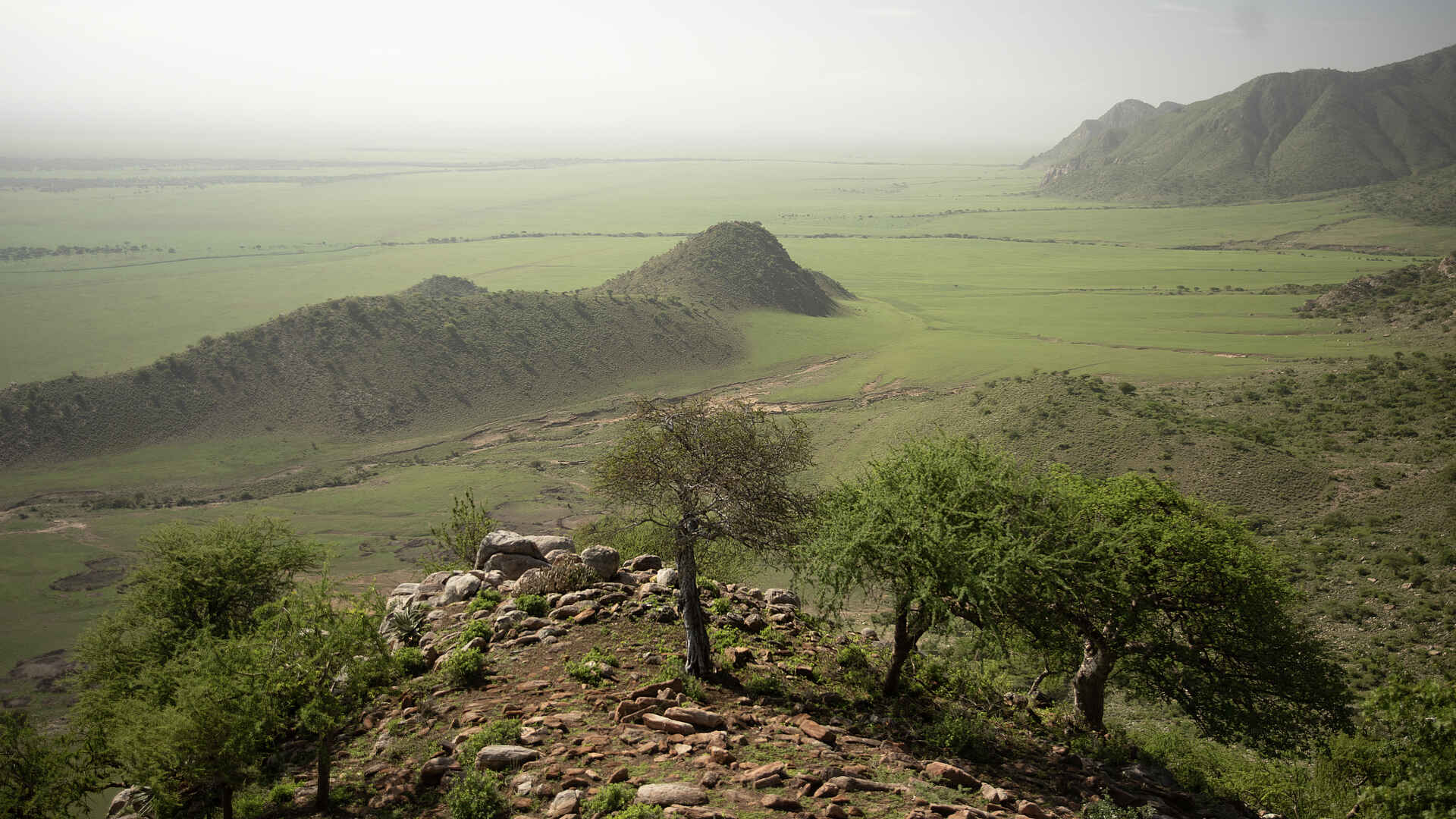 Charlie Sanjan Safari Camp: Blick über die Landschaft