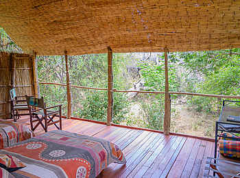 Chikoko Tree Camp: Blick nach draußen Chikoko Tree Camp: Blick nach draußen