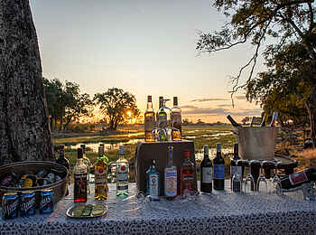 Duba Explorers Camp: Die Bar auf der Terrasse