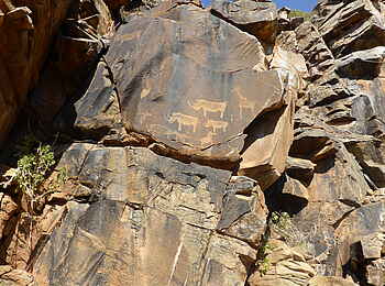 Fort Sesfontein: Tiergravuren in Sosos