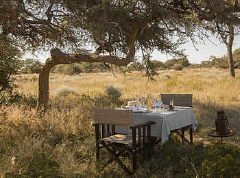 Gmundner Lodge: Lunch im Busch Gmundner Lodge: Lunch im Busch