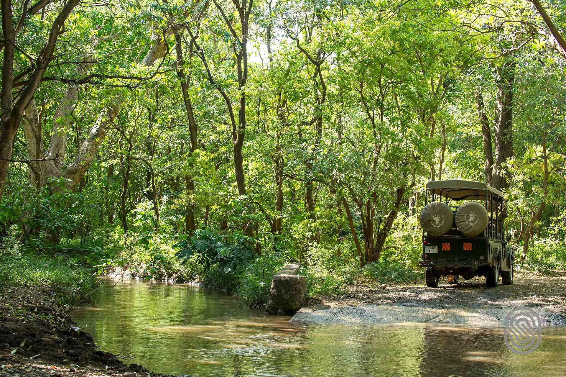 Lake Manyara Serena Lodge: Pirschfahrt