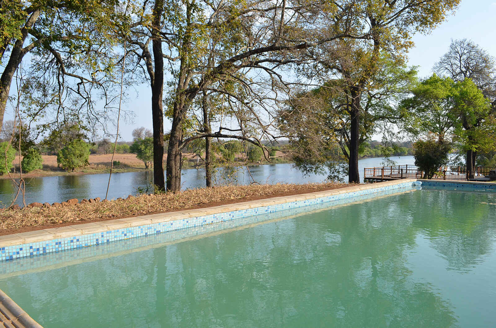 Leopard Lodge: Swimming Pool Leopard Lodge: Swimming Pool