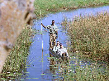 Pom Pom Camp: Mokoroausflug Pom Pom Camp: Mokoroausflug