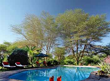 Tortilis Camp: Der Pool Tortilis Camp: Der Pool