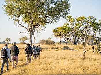 4 Rivers Camp: Walking Safari 4 Rivers Camp: Walking Safari