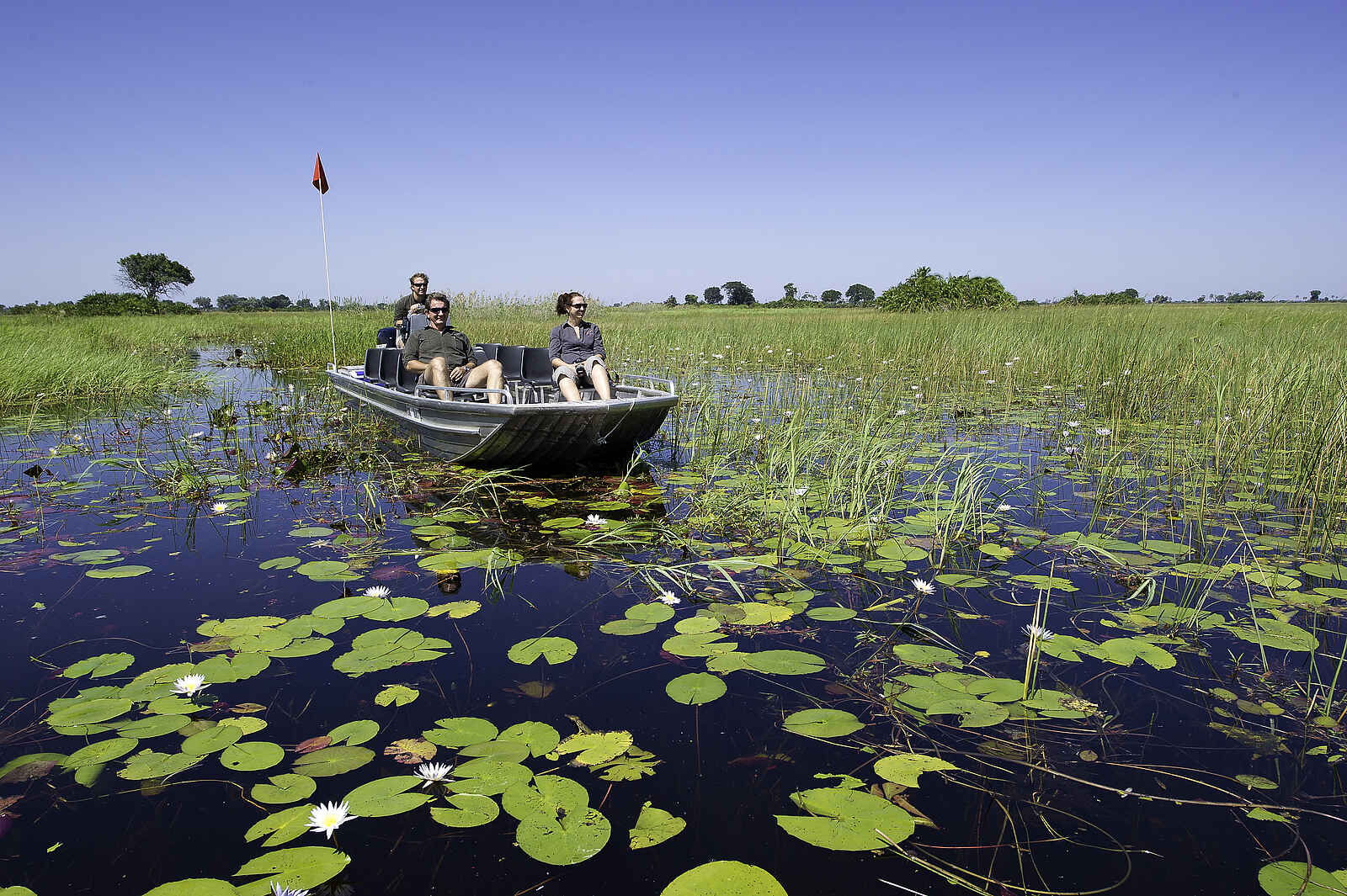 Kwetsani Camp: Bootsafari im Delta Kwetsani Camp: Bootsafari im Delta