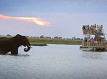 Chobe Safari Lodge: Exkursion auf dem Chobe Chobe Safari Lodge: Exkursion auf dem Chobe