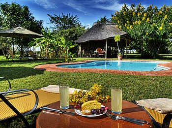 Chobe Savanna: Am Pool Chobe Savanna: Am Pool