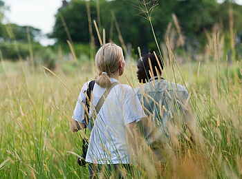 Delta Camp: Walking Safari Delta Camp: Walking Safari
