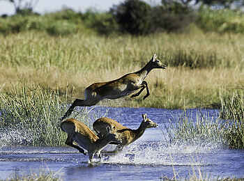 Duma Tau Camp: Auf der Flucht Duma Tau Camp: Auf der Flucht