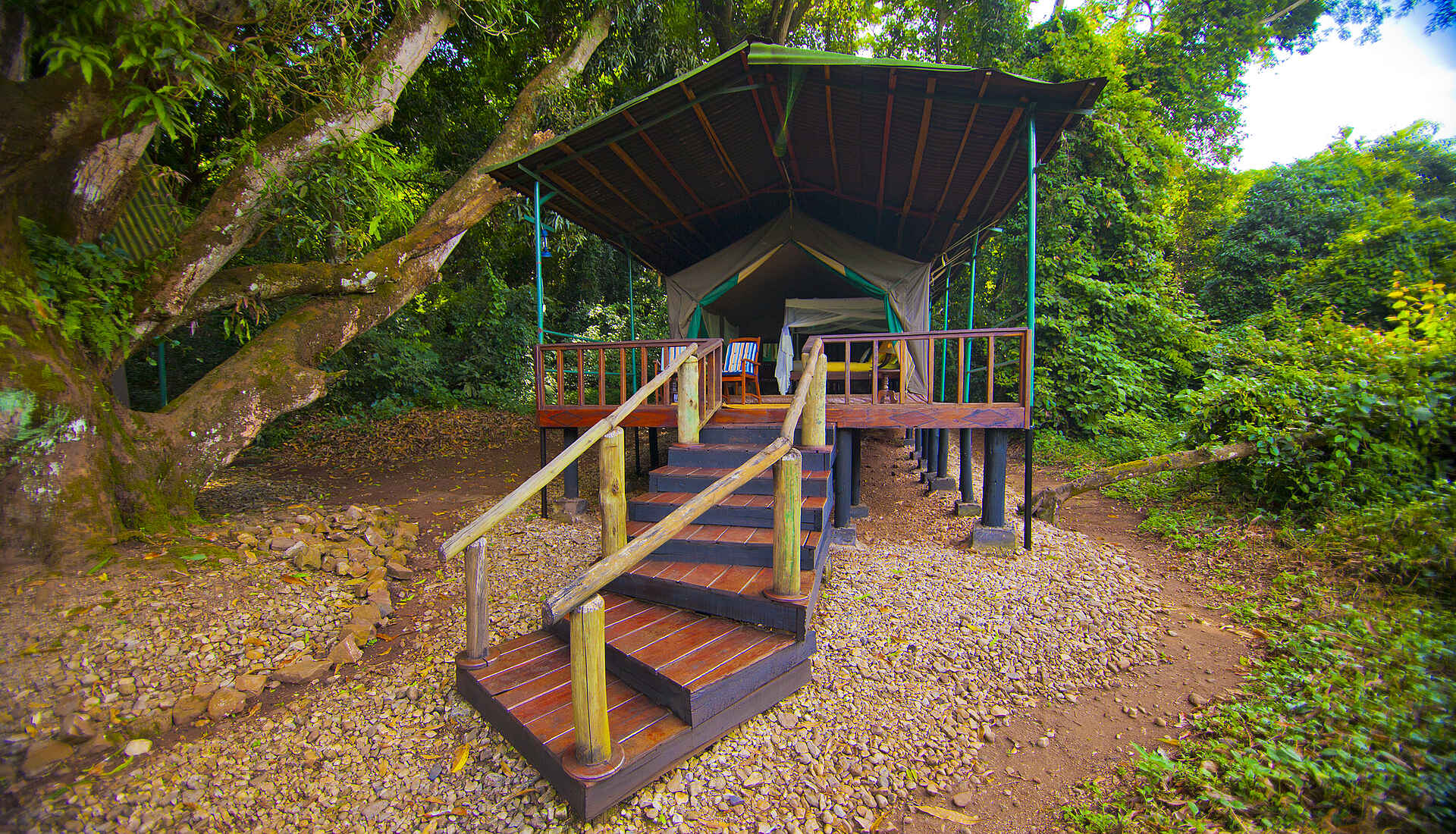 Gombe Forest Lodge: Treppenaufstieg zum Gästezelt