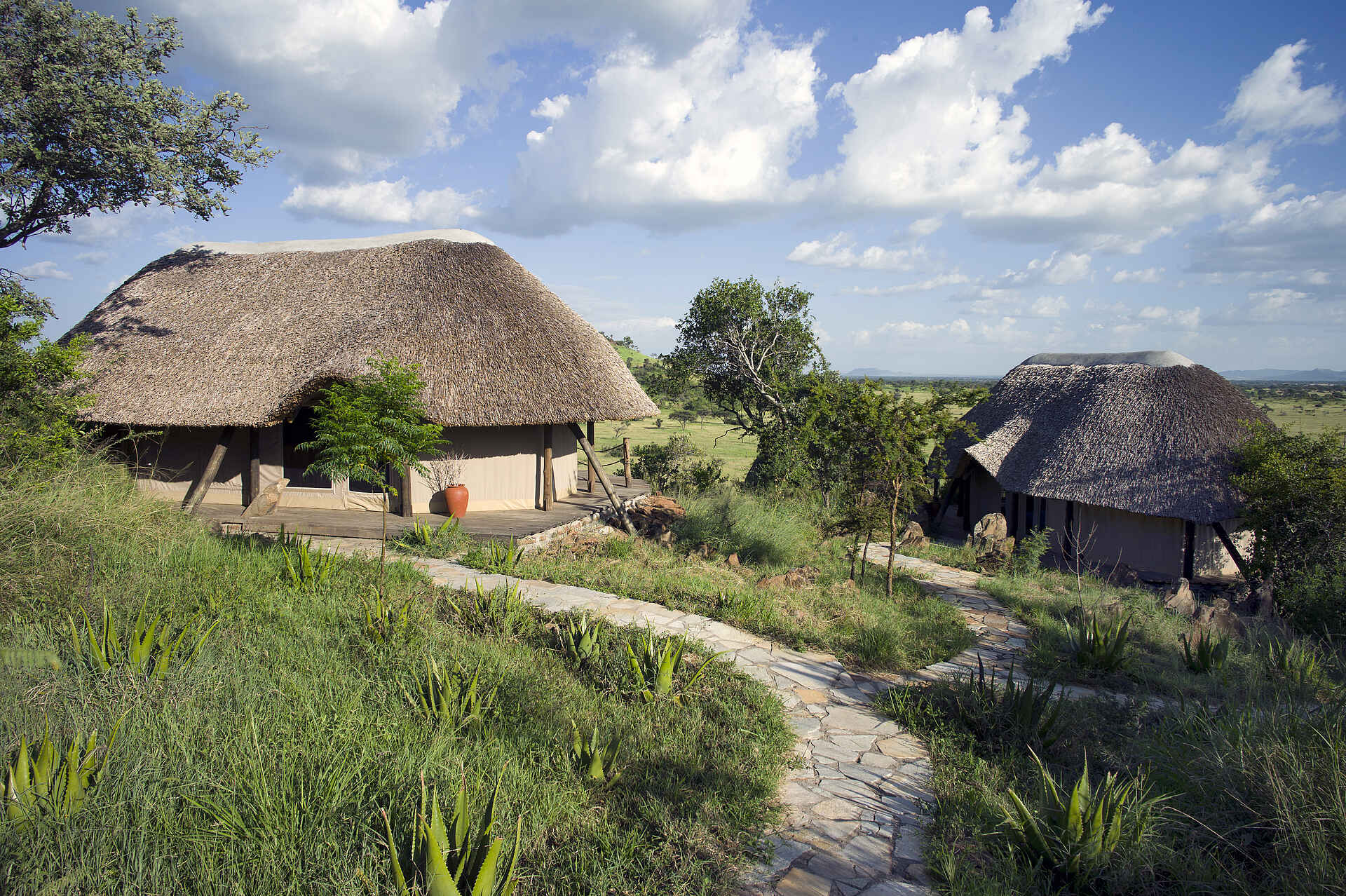 Grumeti Hills Camp, Serengeti, Tanganyika Expeditions, Gästechalet, Reetdach, Zuweg, Afrikarma, Afrikarma Safaris, Afrikarma Safaris - Wildnis. Hautnah., Afrikarma.de