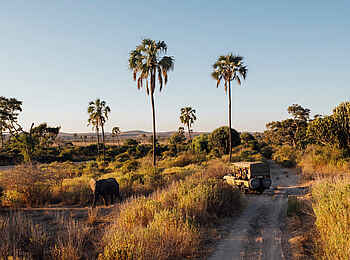 Jabali Ridge Camp: Evening Game Drive