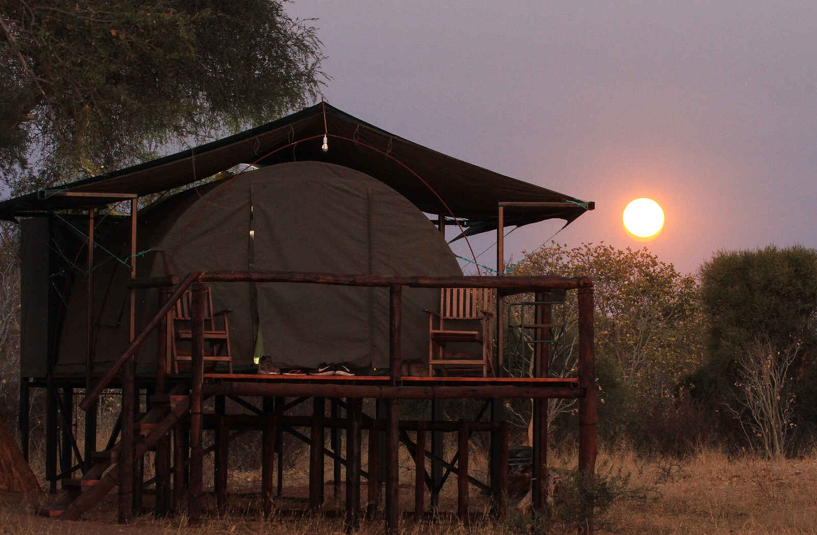 Jozibanini Camp: Eines der drei Zelte Jozibanini Camp: Eines der drei Zelte