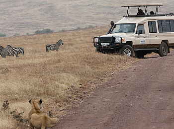 Lemala Kuria Hills: Auf Pirschfahrt