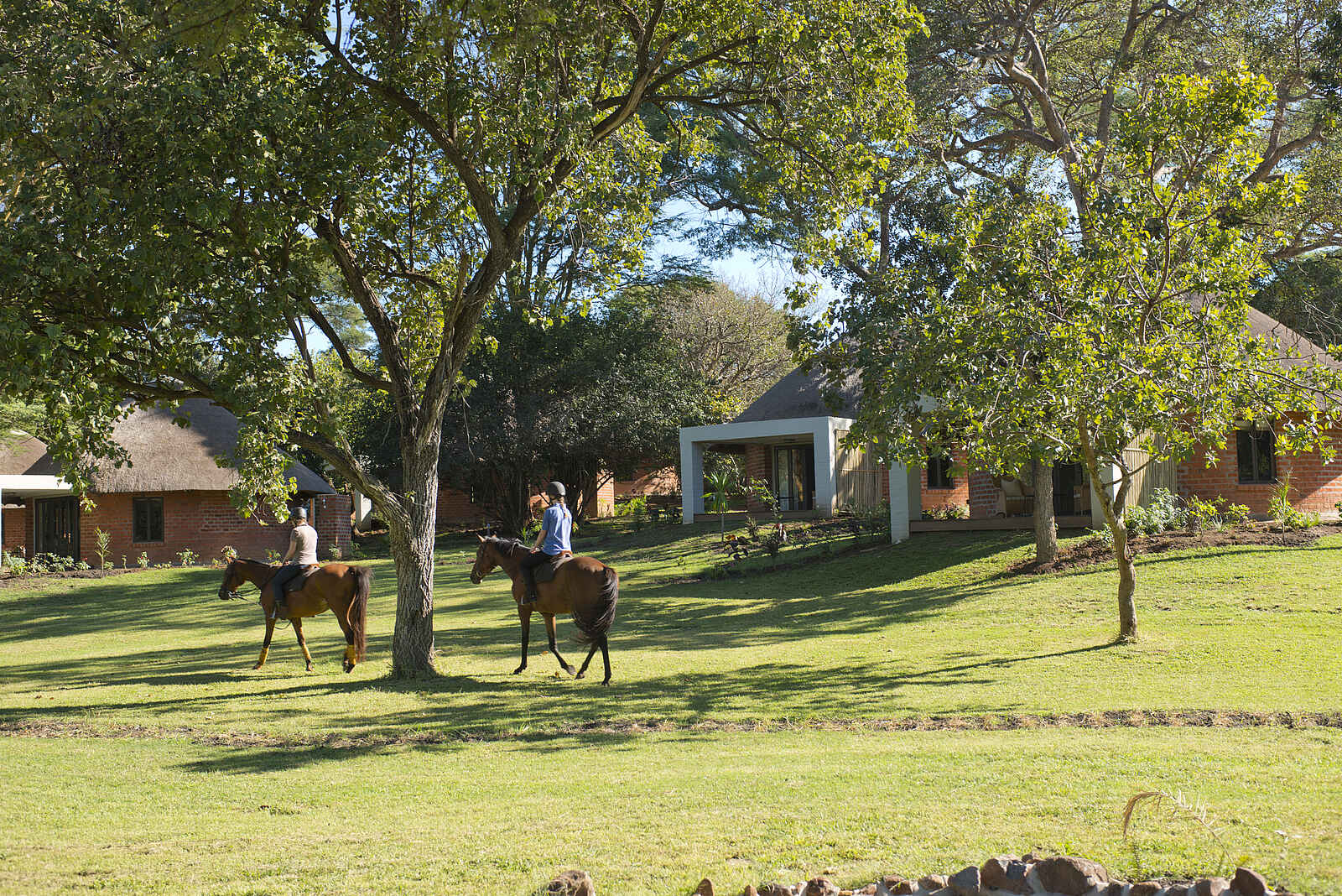 Lilayi: Reiter im Garten Lilayi: Reiter im Garten