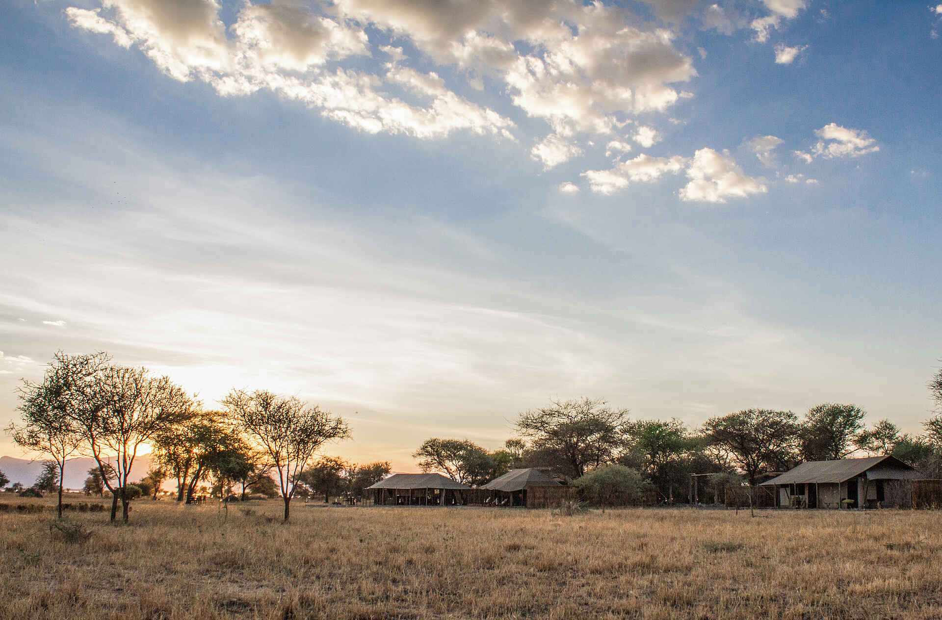 Little Chem Chem: Camp unter blauem Himmel Africa, Afrika, Afrikarma, Aktivitäten, Anti-Wilderei, Buschwanderungen, Fabia Bausch and Nicolas Negre, Fabia Bausch und Nicolas Negre, Familie, Heißluftballon-Fahrten, Hubschrauber-Safaris, Information, Informationen, Kaiti, Kinder, Little Chem Chem, Manyara, Massai Dörfer, Nachhaltigkeit, Nachtpirschfahrten, Naturschutz, Nordtansania, Pirschfahrten, Reise, Reisen, Safari, Tansania, Tanzania, Tarangire Fluss, Tarangire National Park, Tarangire River, Tarangire-Nationalpark, Urlaub, Vollpension, Walkingsafaris, www.afrikarma.de, blauer Himmel, Camp unter blauem Himmel, Camp von außen, guest facilities, Gästeunterkunft, Gästezelte, Morgenstimmung, Sonnenaufgang, Burungi See, Lake Burungi, north tanzania, Bilder, Buchen, Buchung, Chem Chem Wildlife Concession, Reiseveranstalter, chem chem lodge, Anlage, Ansicht, central facilities, zentrale einrichtungen