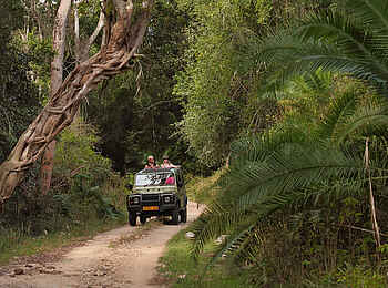 Rubondo Island Camp: Pirschfahrt Rubondo Island Camp: Pirschfahrt