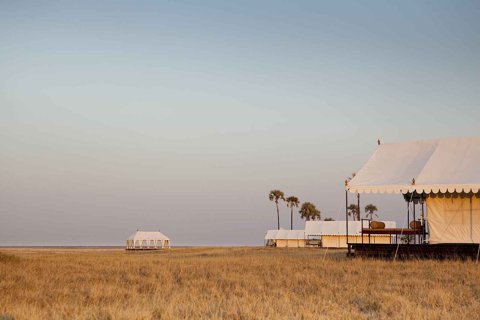 San Camp: Yogazelt San Camp: Yogazelt