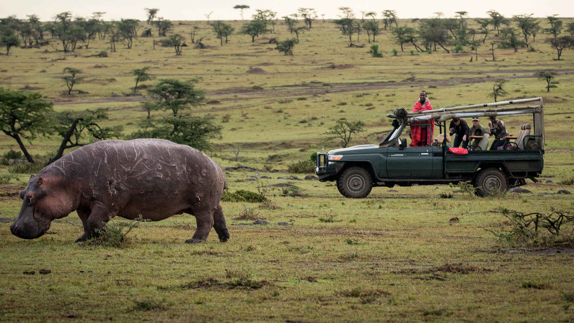 Serian The Original Camp: Game Drive Serian The Original Camp: Game Drive