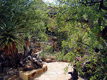 Vingerklip Lodge: Der Garten der Lodge mit typischer Vegetation und kunstvollen Wegen